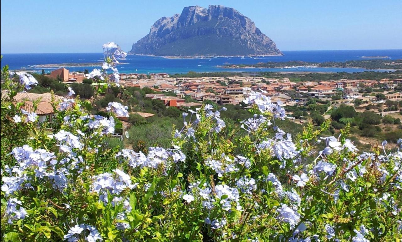 Le Case Del Mare Loiri Porto San Paolo Exterior foto