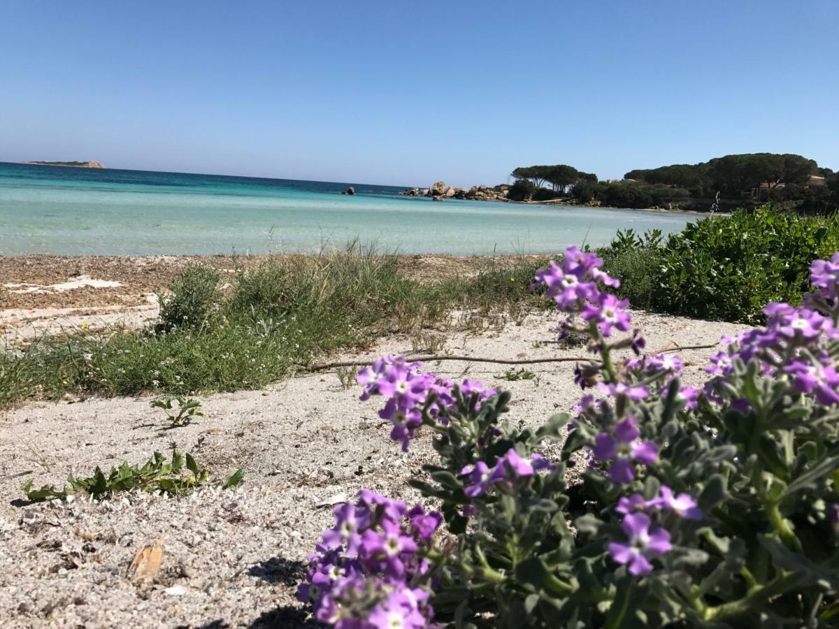 Le Case Del Mare Loiri Porto San Paolo Exterior foto